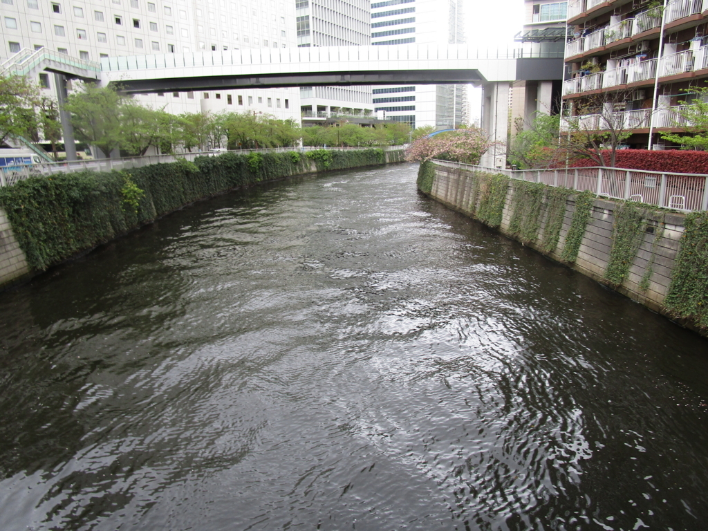 f:id:hideki-sansho:20180407162732j:plain f:id:hideki-sansho:20180407162732j:plain