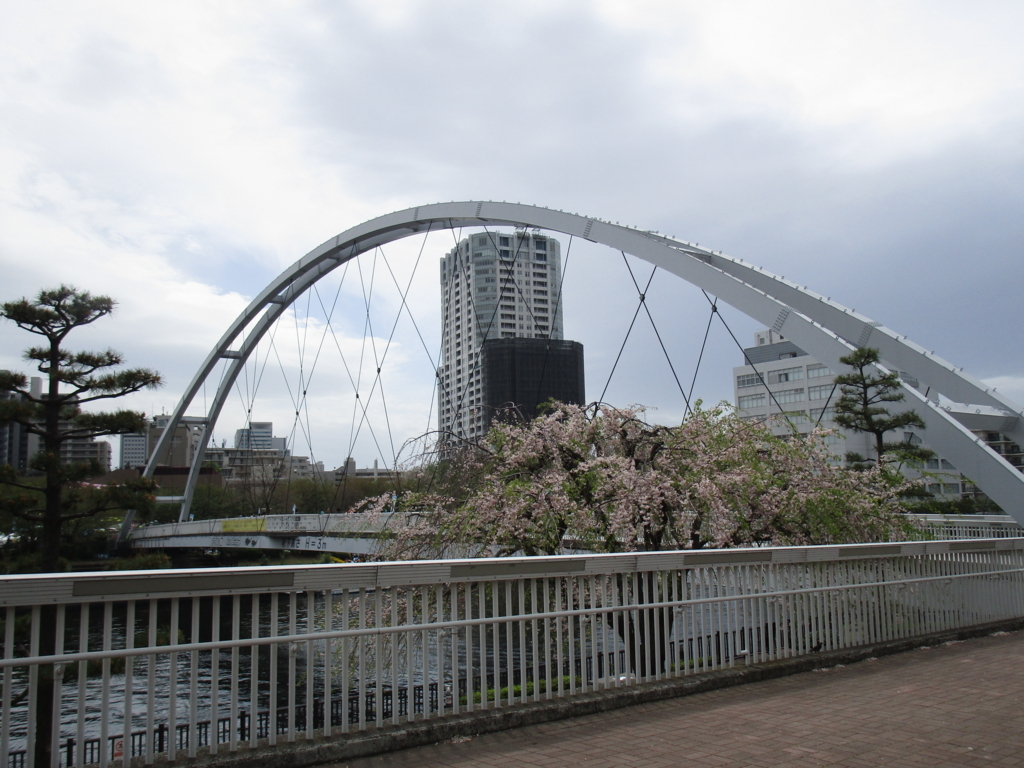 f:id:hideki-sansho:20180407171808j:plain f:id:hideki-sansho:20180407171808j:plain