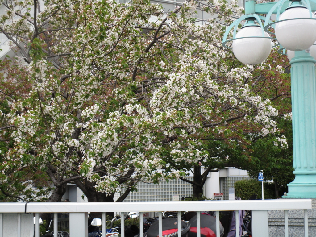 f:id:hideki-sansho:20180407173323j:plain f:id:hideki-sansho:20180407173323j:plain