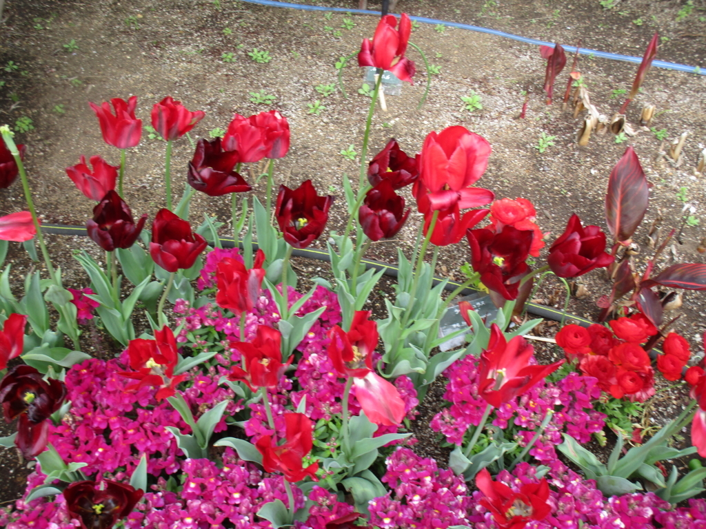 f:id:hideki-sansho:20180407175634j:plain f:id:hideki-sansho:20180407175634j:plain