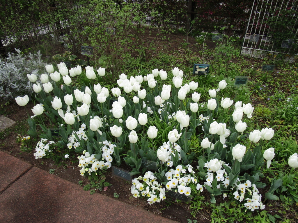 f:id:hideki-sansho:20180407182233j:plain f:id:hideki-sansho:20180407182233j:plain