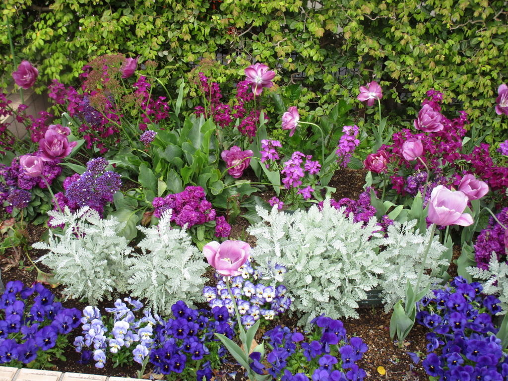 f:id:hideki-sansho:20180407182348j:plain f:id:hideki-sansho:20180407182348j:plain