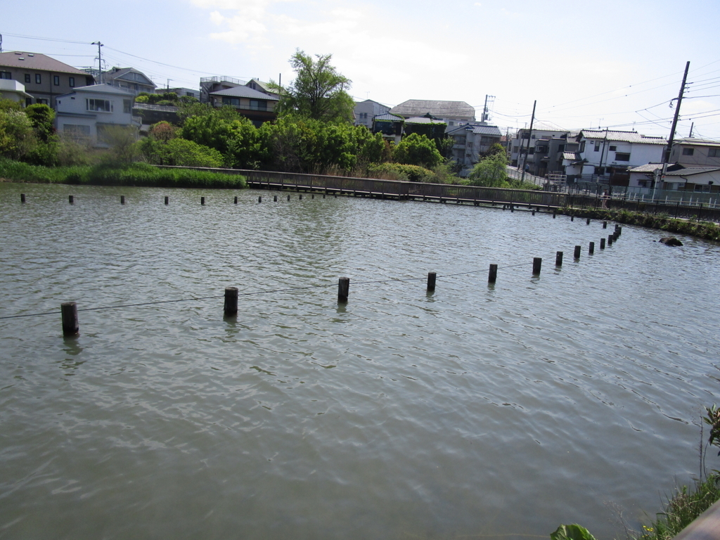 f:id:hideki-sansho:20180413220240j:plain f:id:hideki-sansho:20180413220240j:plain