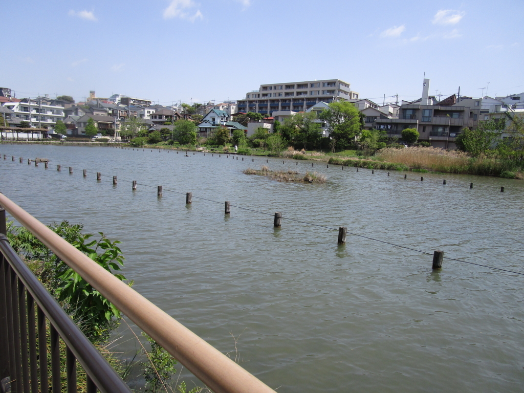 f:id:hideki-sansho:20180413220303j:plain f:id:hideki-sansho:20180413220303j:plain