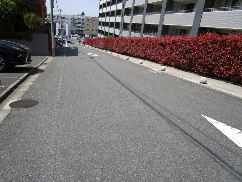 f:id:hideki-sansho:20180413223054j:plain f:id:hideki-sansho:20180413223054j:plain