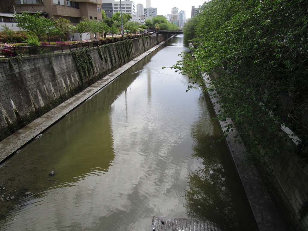 f:id:hideki-sansho:20180416183817j:plain f:id:hideki-sansho:20180416183817j:plain