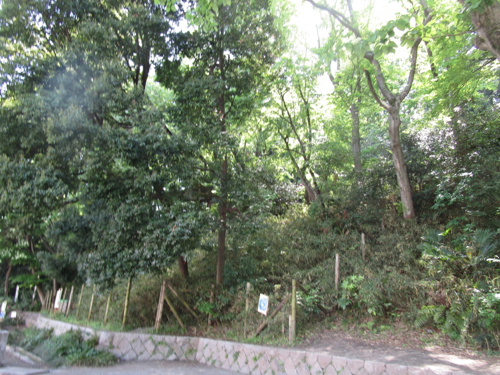 f:id:hideki-sansho:20180421185235j:plain f:id:hideki-sansho:20180421185235j:plain