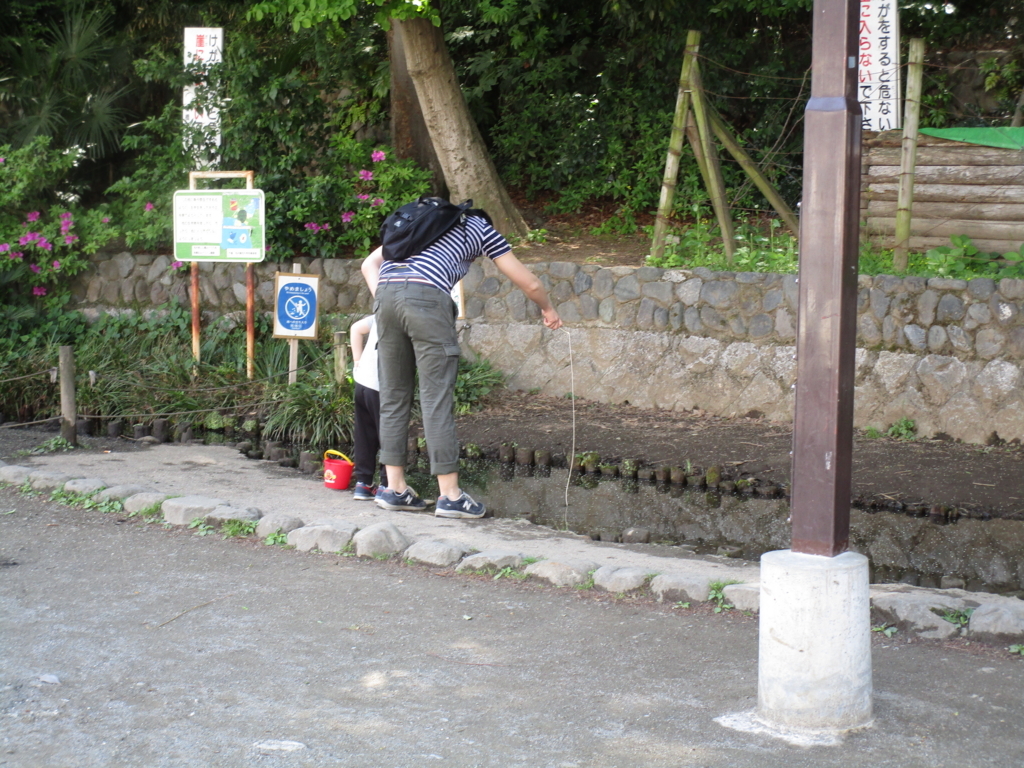 f:id:hideki-sansho:20180421185313j:plain f:id:hideki-sansho:20180421185313j:plain