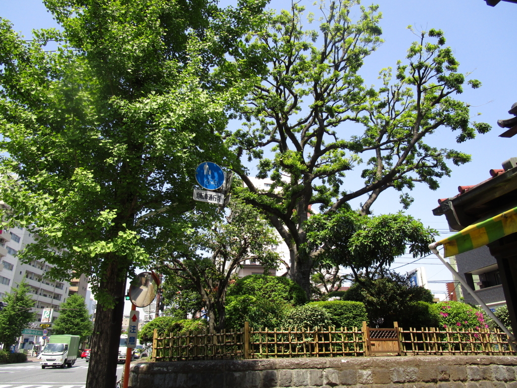 f:id:hideki-sansho:20180421190504j:plain f:id:hideki-sansho:20180421190504j:plain