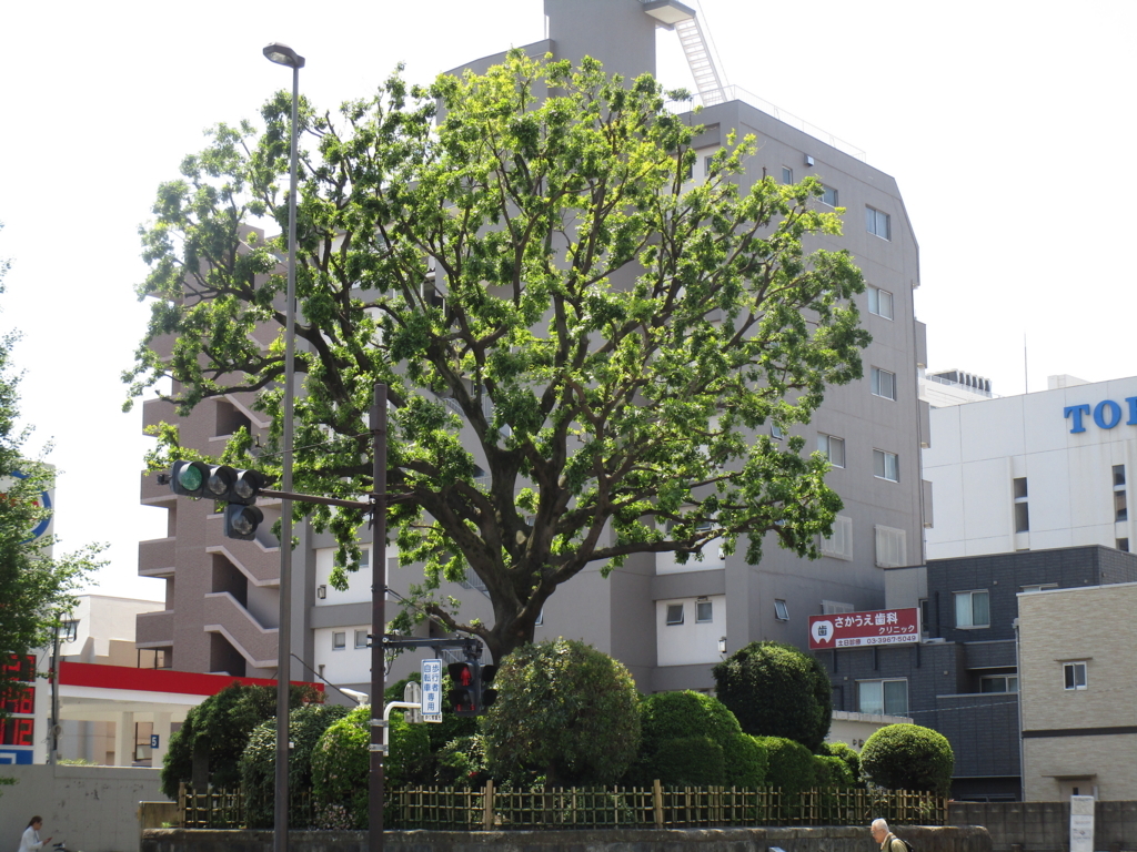 f:id:hideki-sansho:20180421190600j:plain f:id:hideki-sansho:20180421190600j:plain
