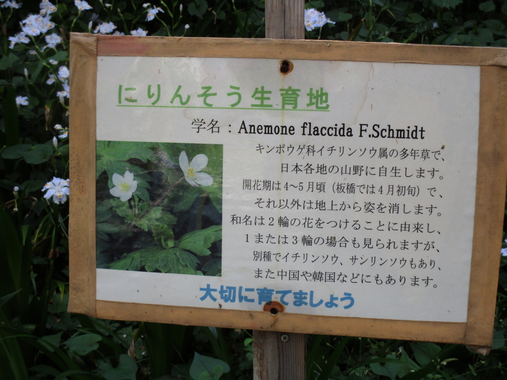 f:id:hideki-sansho:20180421191526j:plain f:id:hideki-sansho:20180421191526j:plain