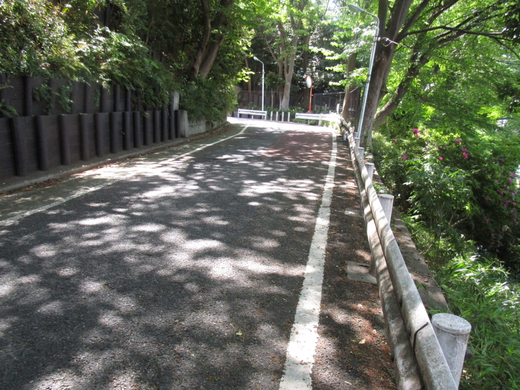 f:id:hideki-sansho:20180421192857j:plain f:id:hideki-sansho:20180421192857j:plain