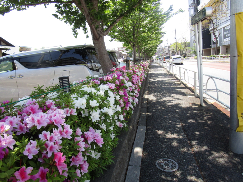 f:id:hideki-sansho:20180421194321j:plain f:id:hideki-sansho:20180421194321j:plain