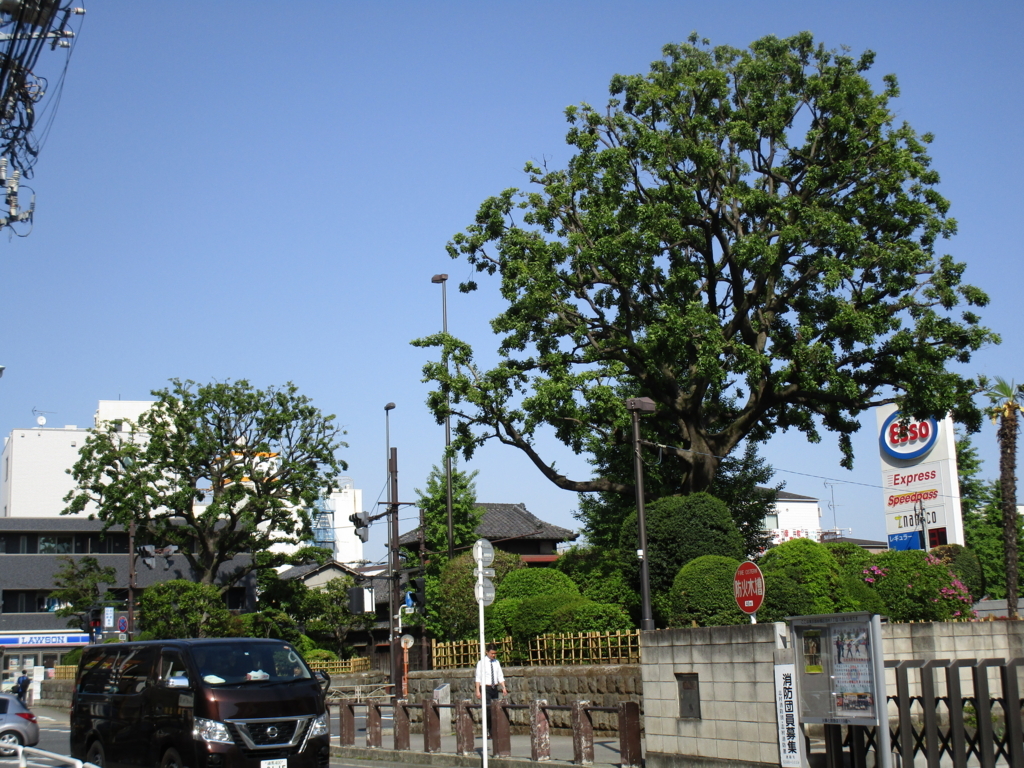 f:id:hideki-sansho:20180421194631j:plain