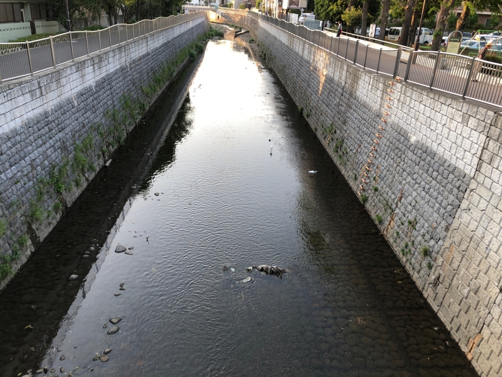 f:id:hideki-sansho:20180501091522j:plain f:id:hideki-sansho:20180501091522j:plain