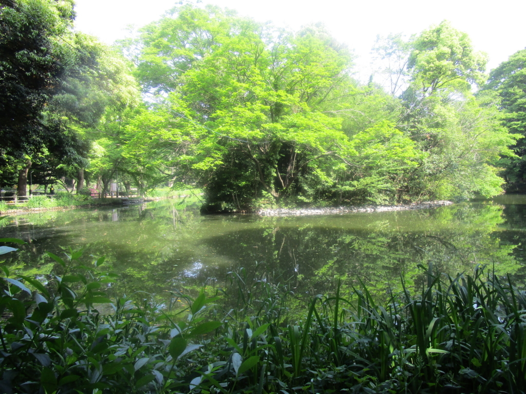 f:id:hideki-sansho:20180501093546j:plain f:id:hideki-sansho:20180501093546j:plain