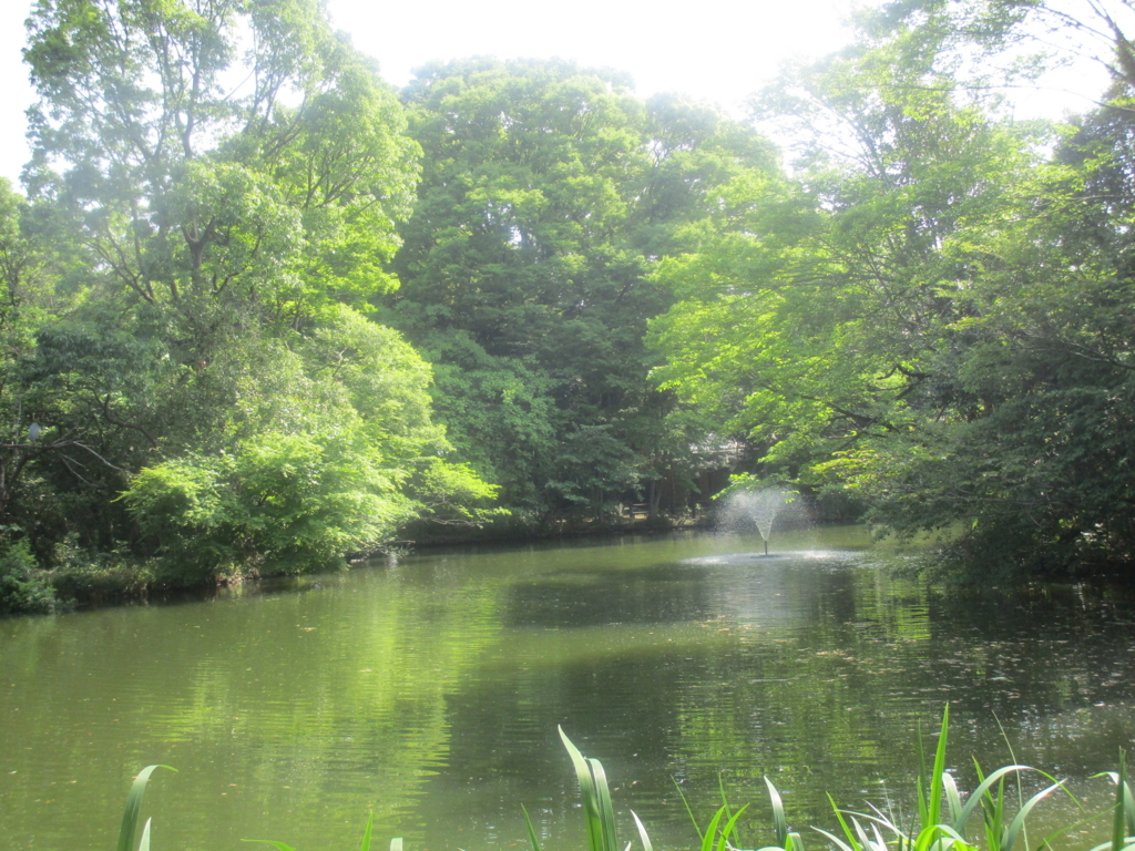 f:id:hideki-sansho:20180501093613j:plain f:id:hideki-sansho:20180501093613j:plain