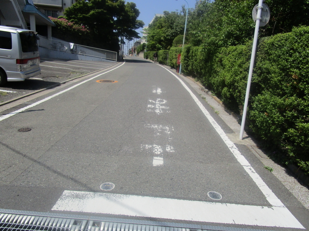 f:id:hideki-sansho:20180501100500j:plain f:id:hideki-sansho:20180501100500j:plain