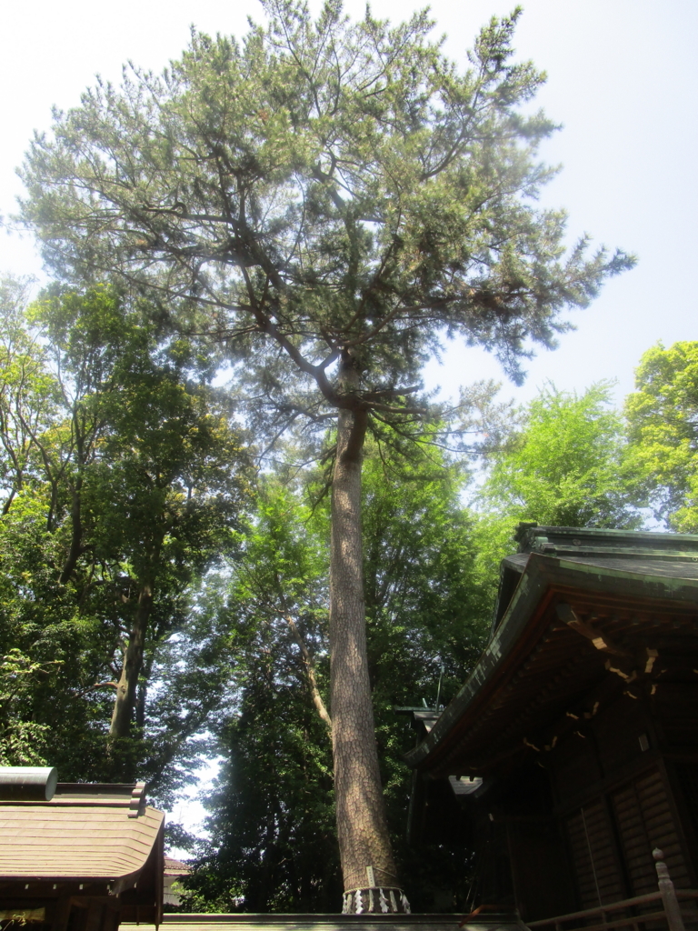 f:id:hideki-sansho:20180501100858j:plain f:id:hideki-sansho:20180501100858j:plain