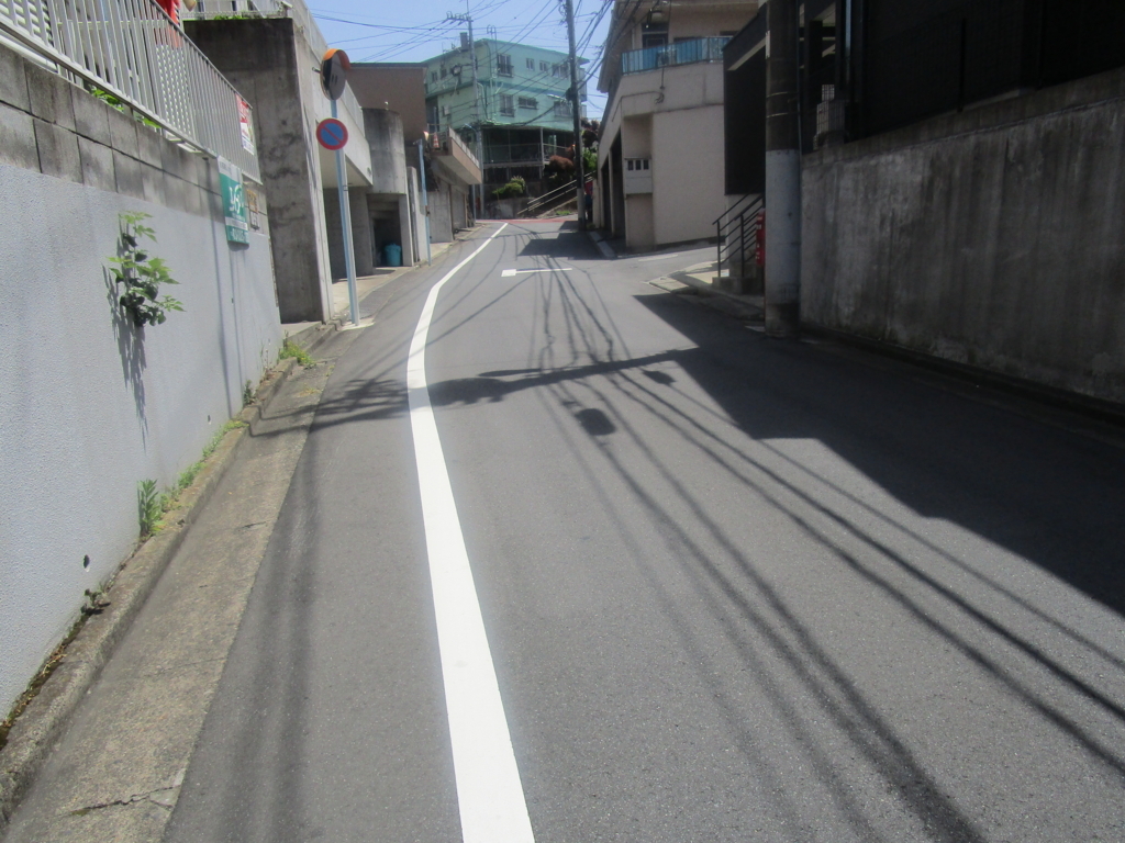 f:id:hideki-sansho:20180501102238j:plain f:id:hideki-sansho:20180501102238j:plain