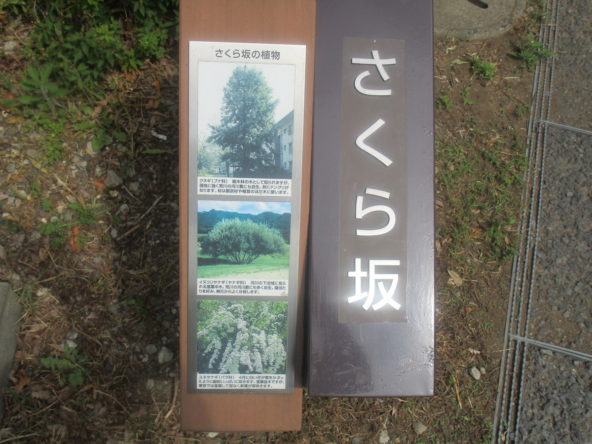 f:id:hideki-sansho:20180502140427j:plain f:id:hideki-sansho:20180502140427j:plain