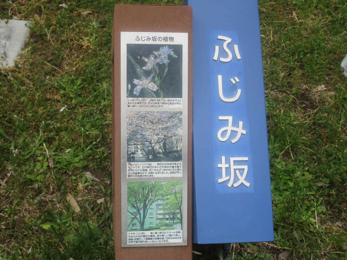 f:id:hideki-sansho:20180502141520j:plain f:id:hideki-sansho:20180502141520j:plain