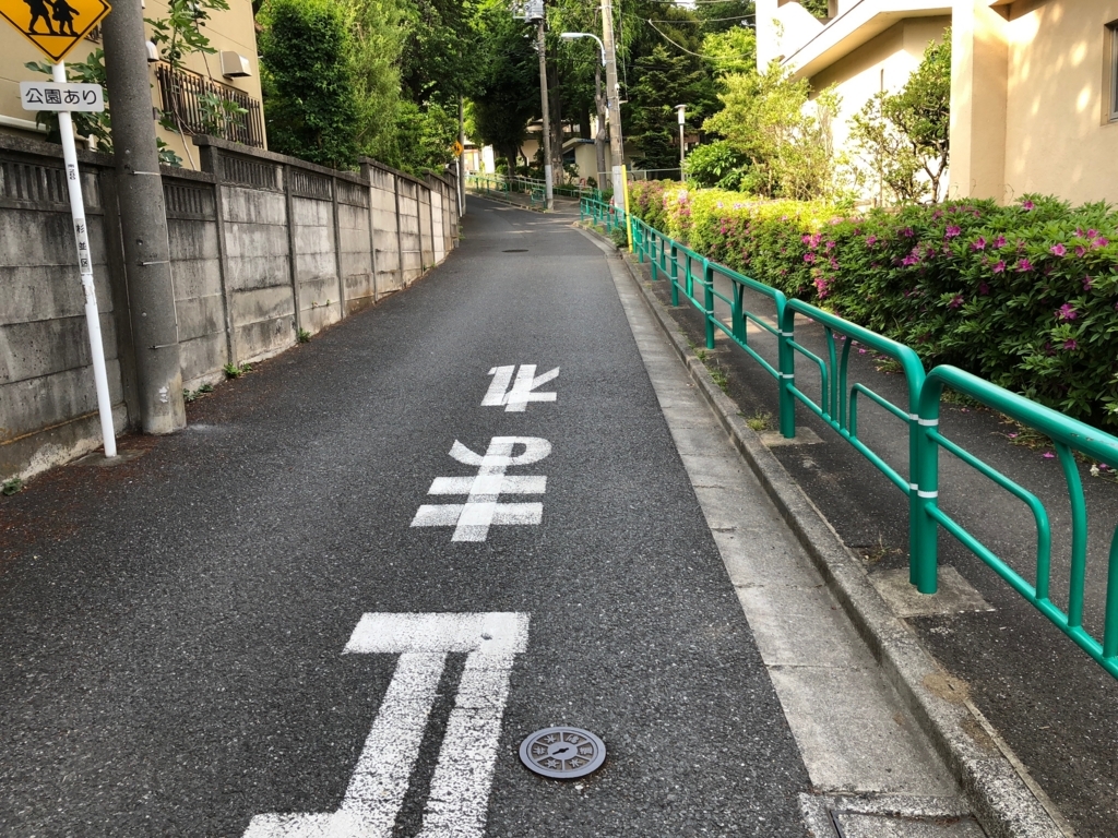 f:id:hideki-sansho:20180502213101j:plain f:id:hideki-sansho:20180502213101j:plain