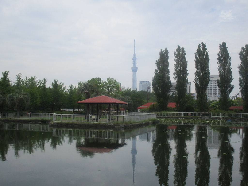 f:id:hideki-sansho:20180502222342j:plain f:id:hideki-sansho:20180502222342j:plain