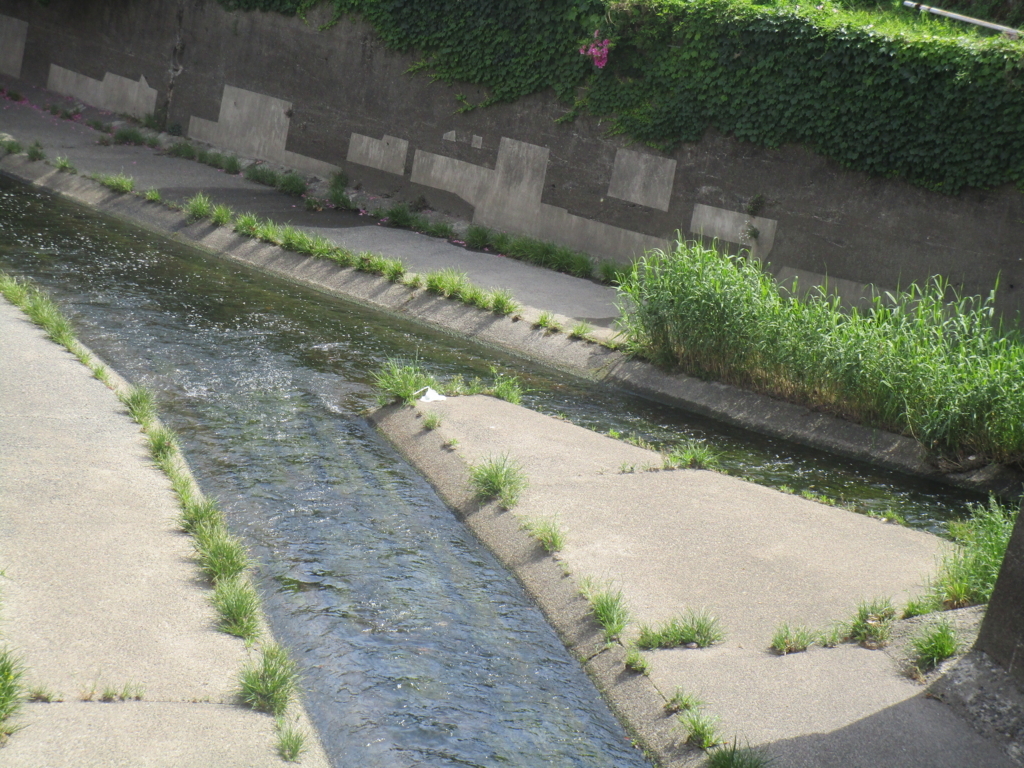 f:id:hideki-sansho:20180506151045j:plain f:id:hideki-sansho:20180506151045j:plain