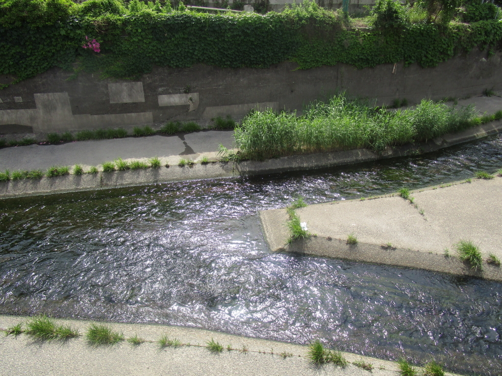 f:id:hideki-sansho:20180506151720j:plain f:id:hideki-sansho:20180506151720j:plain