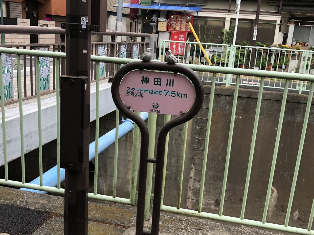 f:id:hideki-sansho:20180507175032j:plain f:id:hideki-sansho:20180507175032j:plain