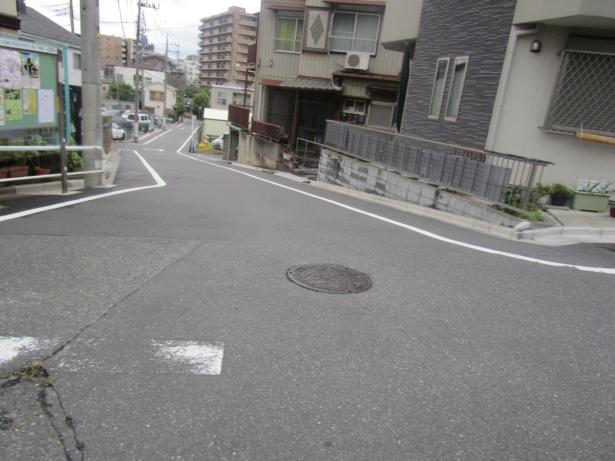 f:id:hideki-sansho:20180509153005j:plain f:id:hideki-sansho:20180509153005j:plain