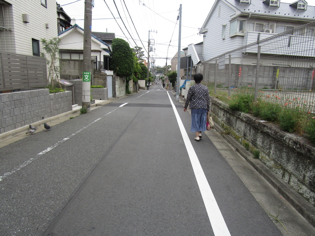 f:id:hideki-sansho:20180513155628j:plain f:id:hideki-sansho:20180513155628j:plain