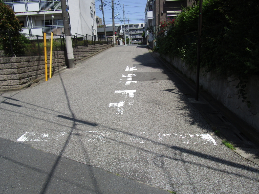 f:id:hideki-sansho:20180601043143j:plain f:id:hideki-sansho:20180601043143j:plain