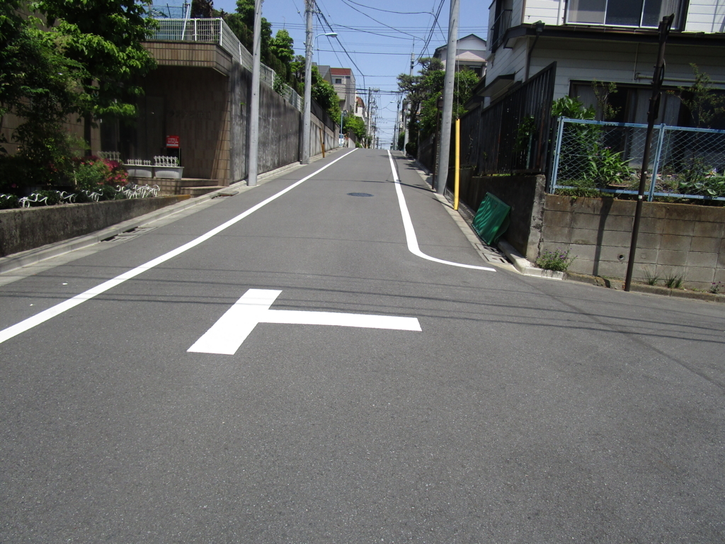 f:id:hideki-sansho:20180601043414j:plain f:id:hideki-sansho:20180601043414j:plain