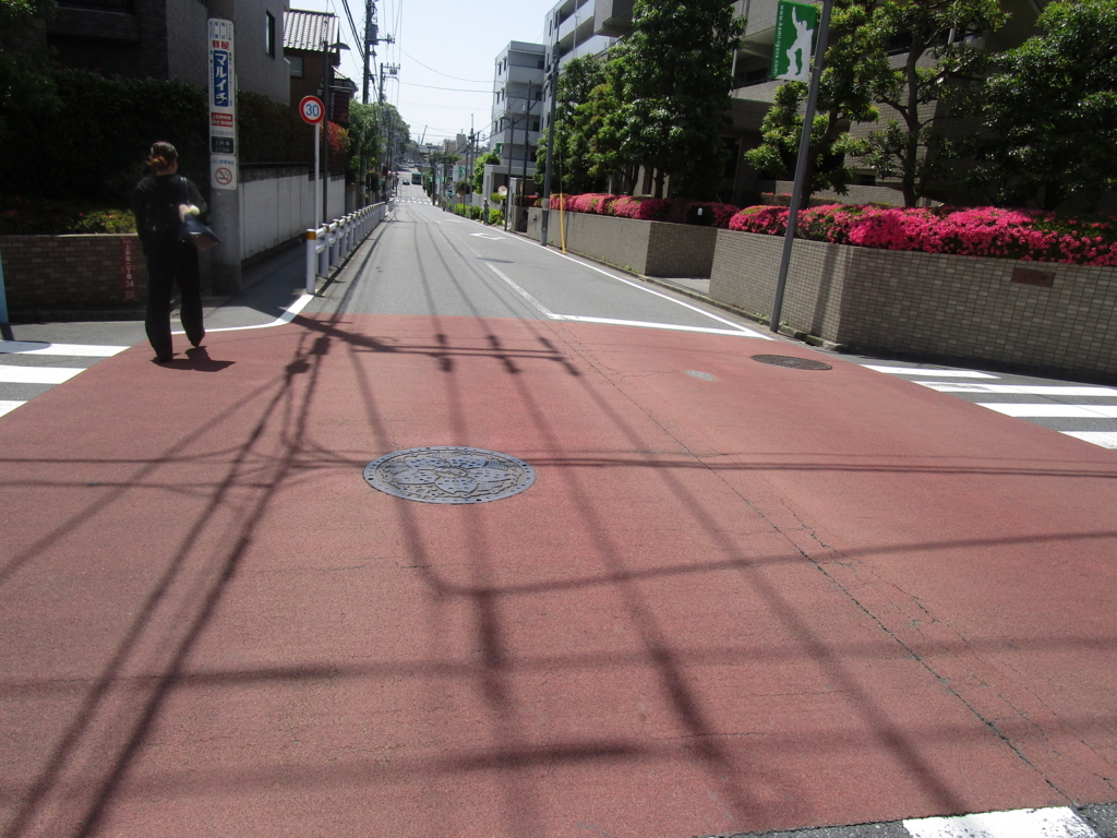 f:id:hideki-sansho:20180601043525j:plain f:id:hideki-sansho:20180601043525j:plain