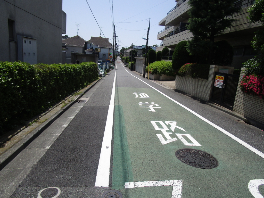 f:id:hideki-sansho:20180601043732j:plain f:id:hideki-sansho:20180601043732j:plain