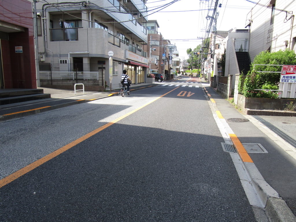 f:id:hideki-sansho:20180601051122j:plain f:id:hideki-sansho:20180601051122j:plain