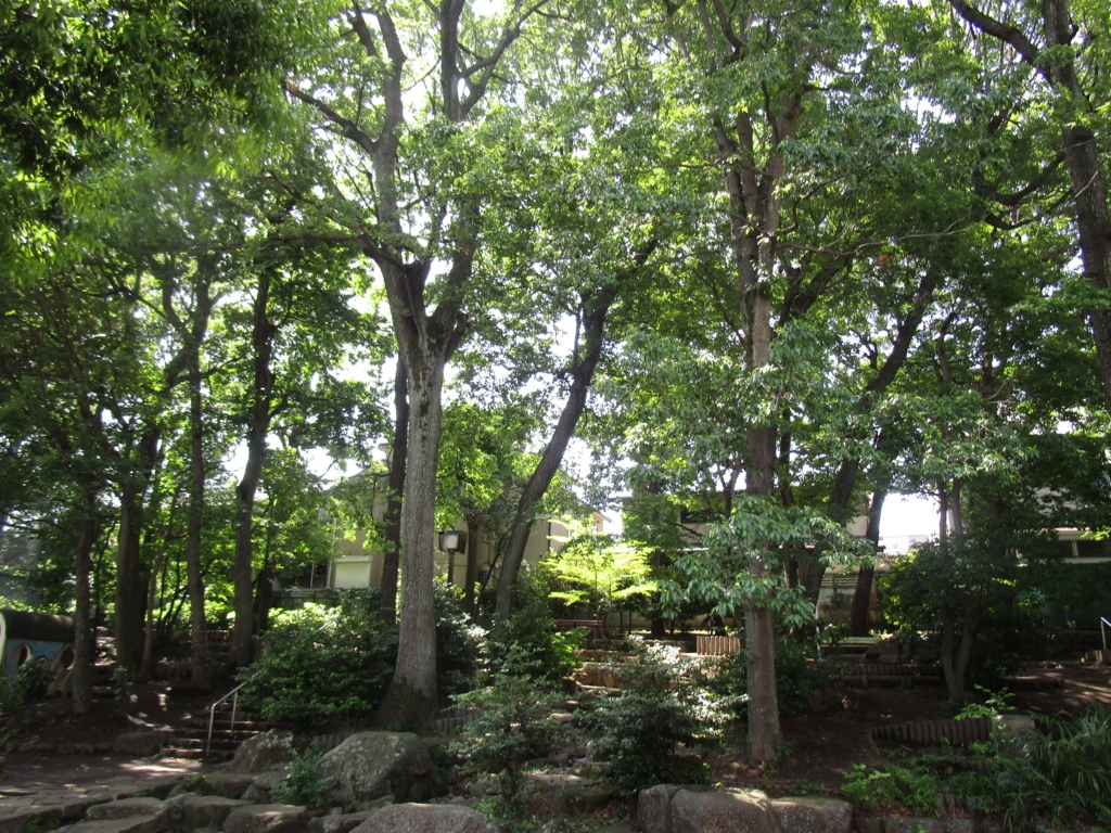 f:id:hideki-sansho:20180601090747j:plain f:id:hideki-sansho:20180601090747j:plain