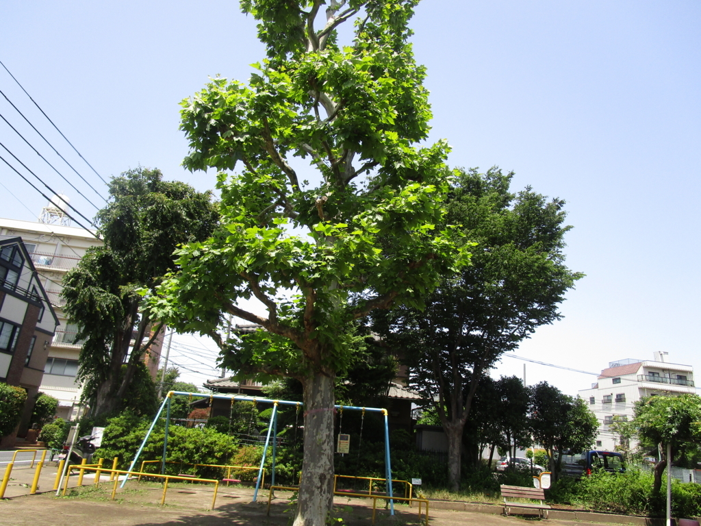 f:id:hideki-sansho:20180601093018j:plain f:id:hideki-sansho:20180601093018j:plain