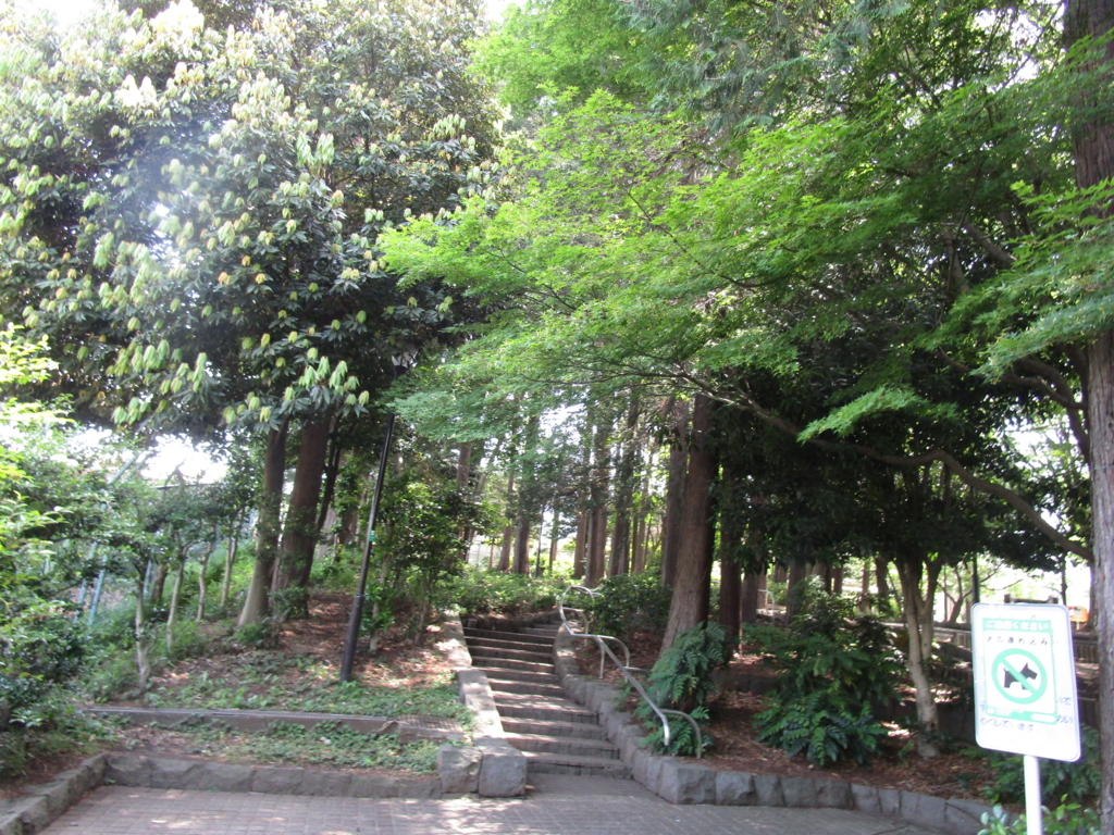 f:id:hideki-sansho:20180601094657j:plain f:id:hideki-sansho:20180601094657j:plain