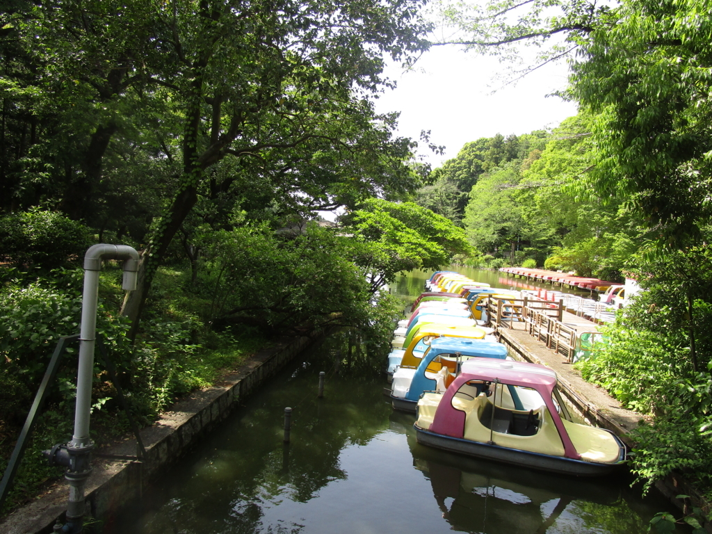 f:id:hideki-sansho:20180601095932j:plain f:id:hideki-sansho:20180601095932j:plain