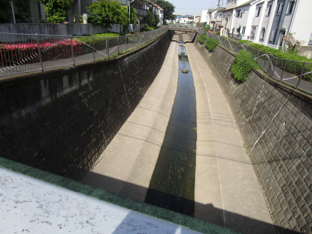 f:id:hideki-sansho:20180601100257j:plain f:id:hideki-sansho:20180601100257j:plain