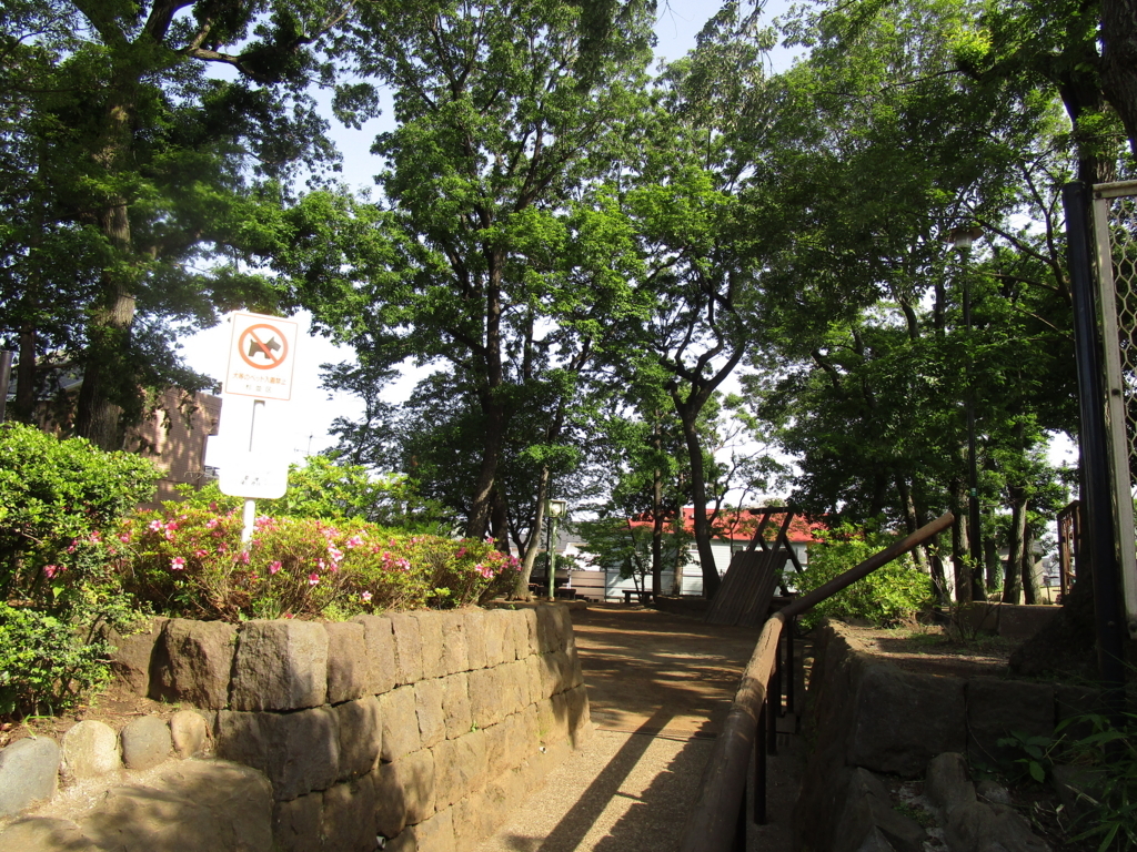 f:id:hideki-sansho:20180601100956j:plain f:id:hideki-sansho:20180601100956j:plain