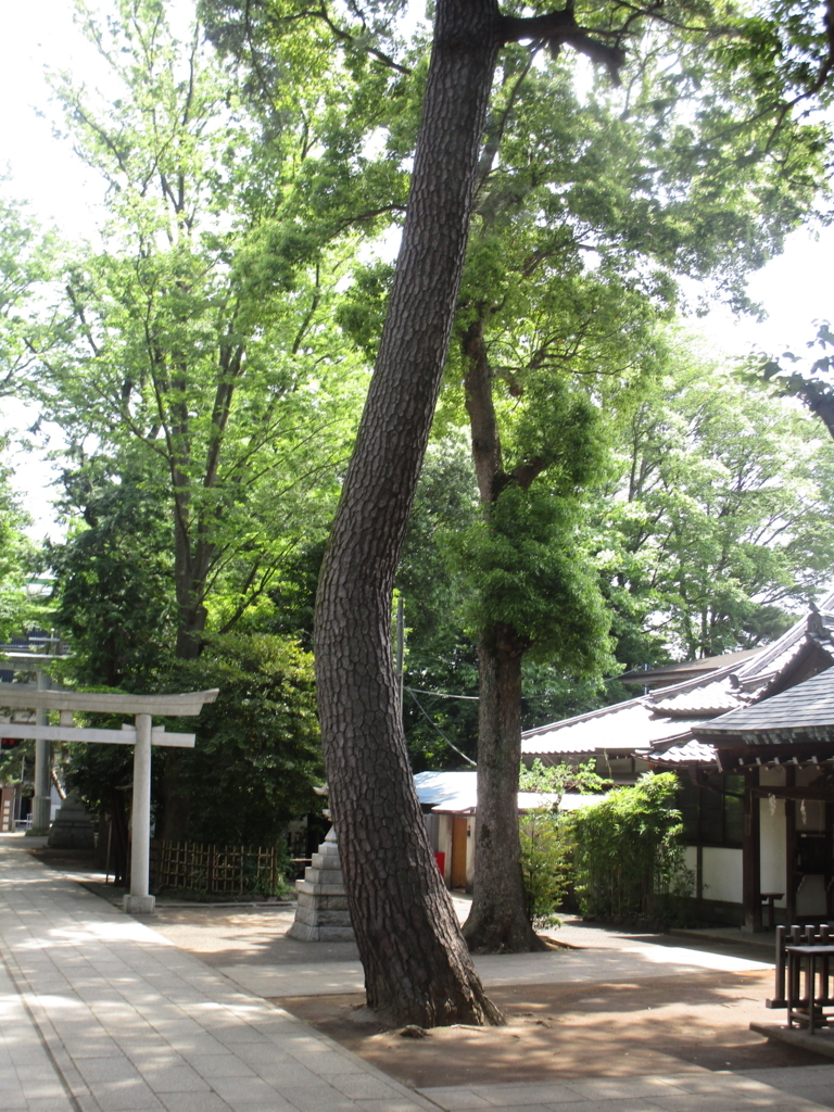 f:id:hideki-sansho:20180601102359j:plain f:id:hideki-sansho:20180601102359j:plain