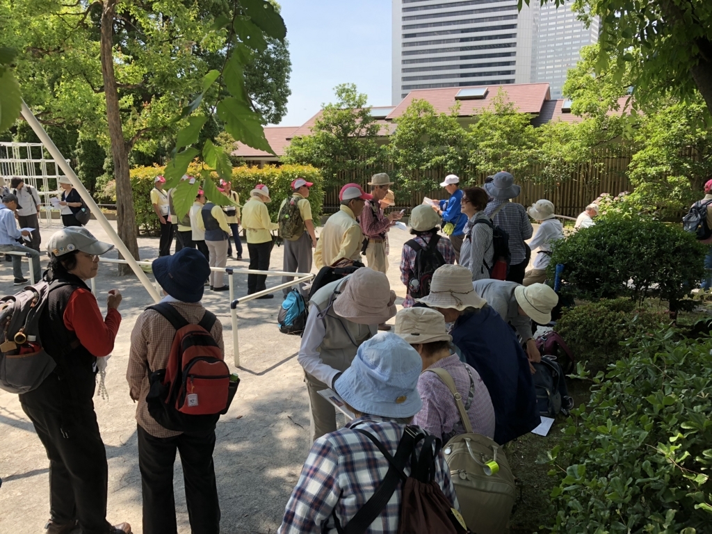 f:id:hideki-sansho:20180602154026j:plain f:id:hideki-sansho:20180602154026j:plain