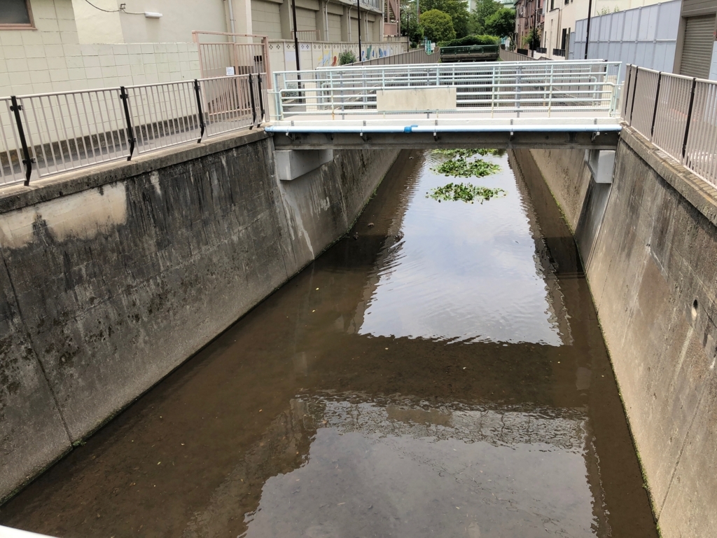 f:id:hideki-sansho:20180605153818j:plain f:id:hideki-sansho:20180605153818j:plain