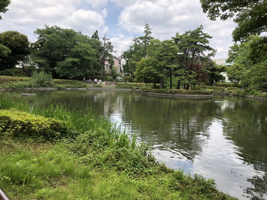 f:id:hideki-sansho:20180605160926j:plain