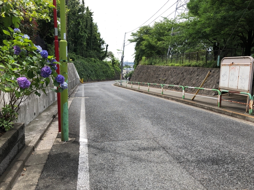 f:id:hideki-sansho:20180607183152j:plain f:id:hideki-sansho:20180607183152j:plain