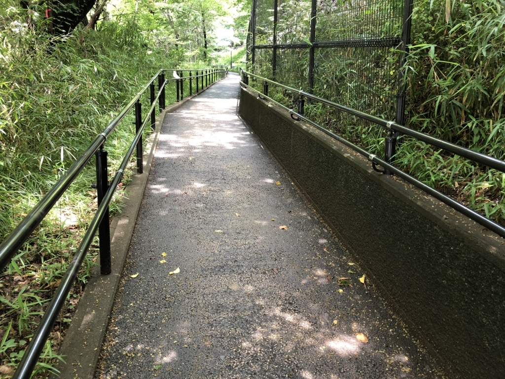 f:id:hideki-sansho:20180607183507j:plain f:id:hideki-sansho:20180607183507j:plain